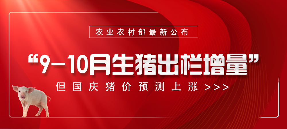 农业农村部最新公布！9-10月生猪出栏增量，但国庆猪价预测上涨！