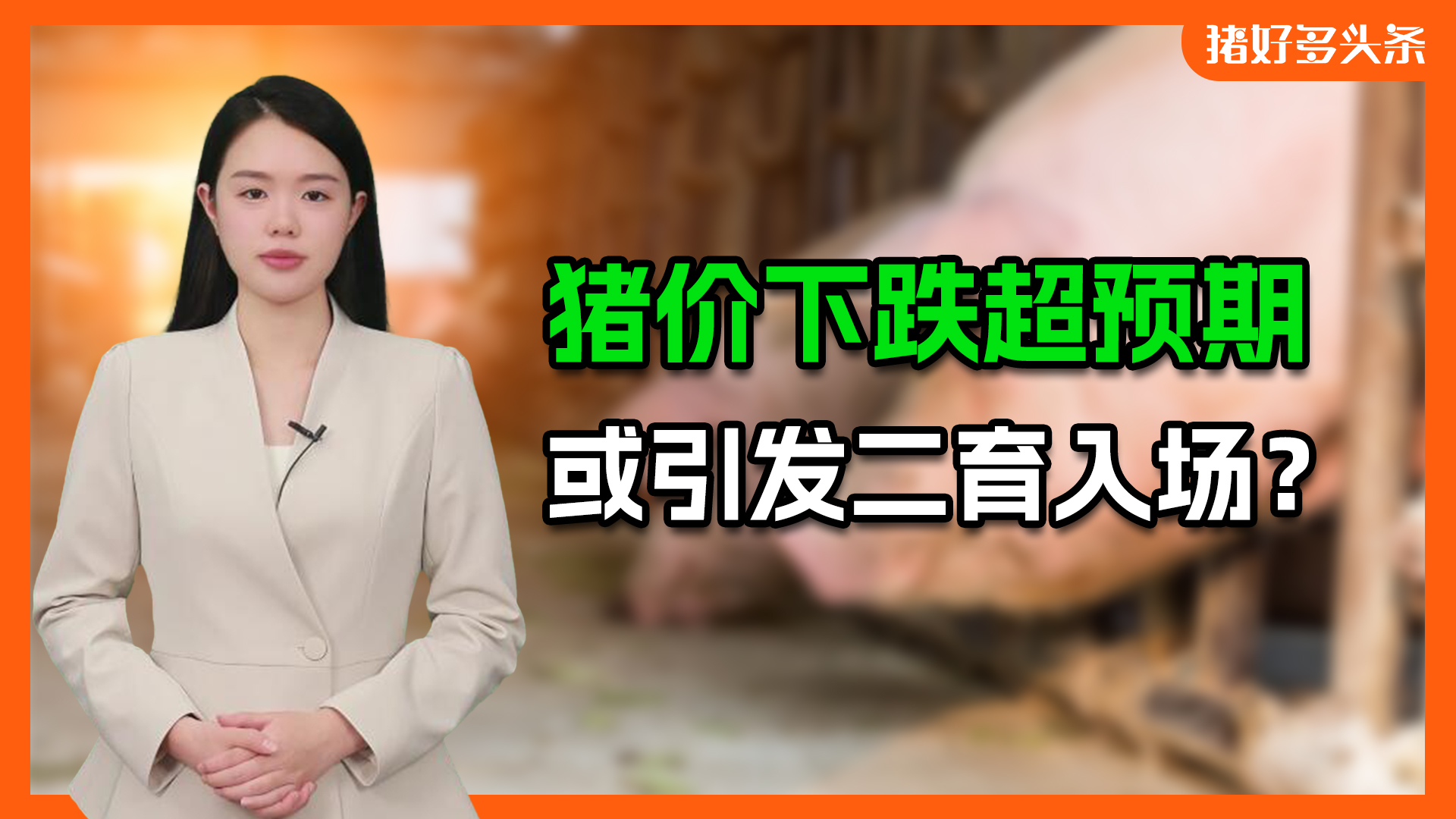 猪价告急！全国15省猪价跌到17元！何时是个头？