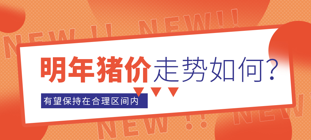 猪价走势如何？明年猪价有望保持在合理区间内