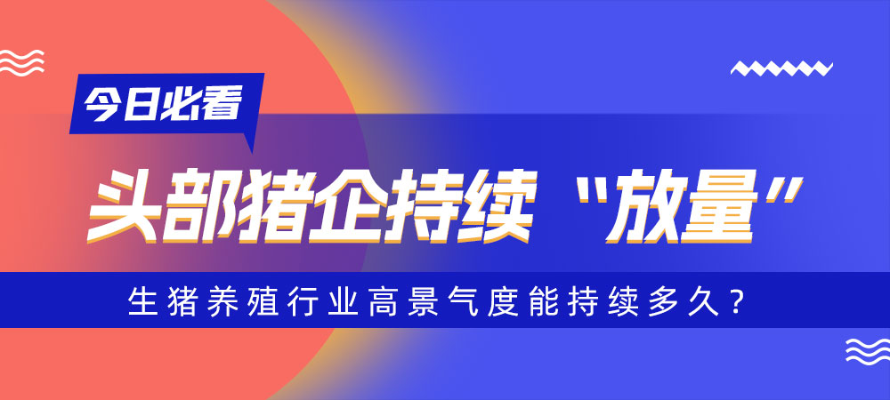 头部猪企持续“放量”，生猪养殖行业高景气度能持续多久？