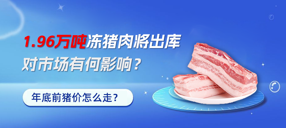 1.96万吨冻猪肉将出库，对市场有何影响？年底前猪价怎么走？