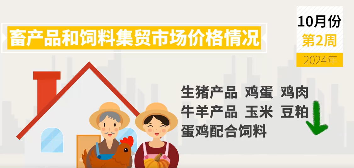  10月第2周生猪产品、玉米、豆粕价格下跌