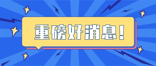 国际首创技术！中国科学家让“死亡”50分钟猪脑“复活”