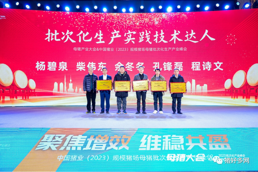 批次化生产实践技术达人