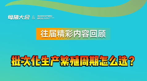 选繁殖周期就是选哺乳周期，那批次化生产繁殖周期怎么选？