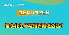 选繁殖周期就是选哺乳周期，那批次化生产繁殖周期怎么选？