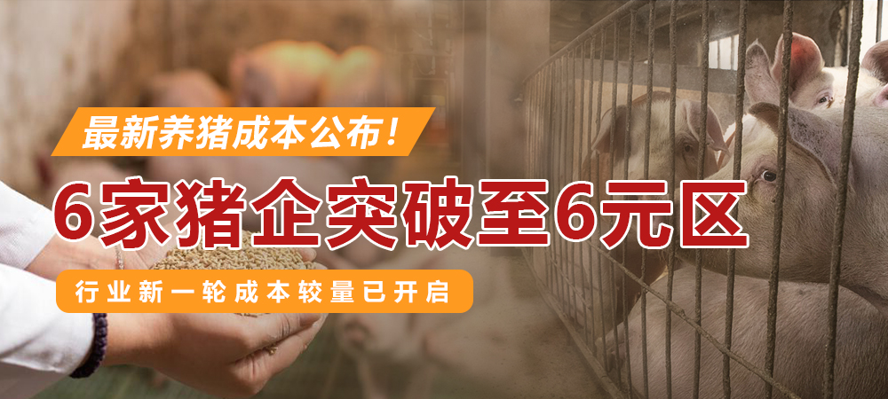 最新养猪成本公布！6家猪企突破至6元区，行业新一轮成本较量已开启