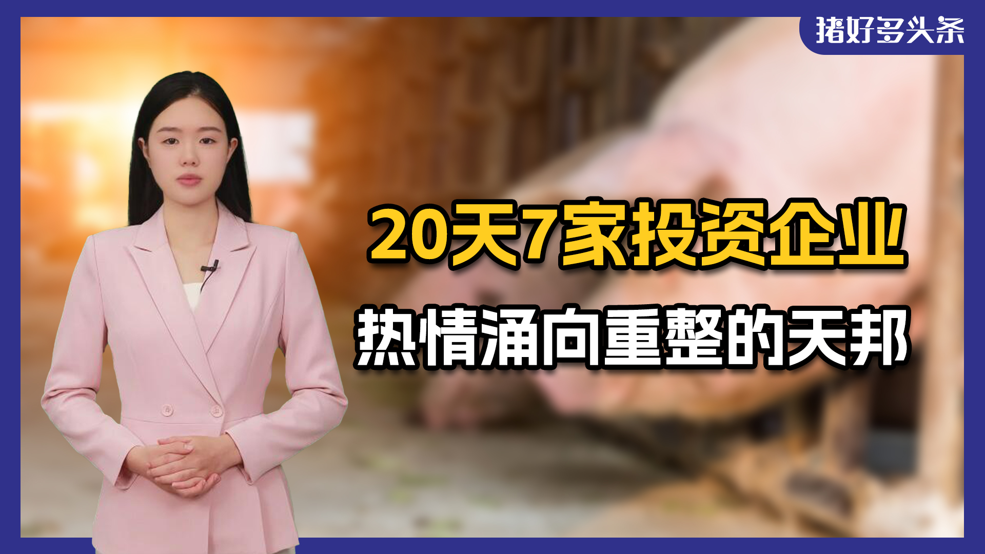 罕见！20天7家投资企业扑向重整的天邦！看好猪市还是钟情天邦？