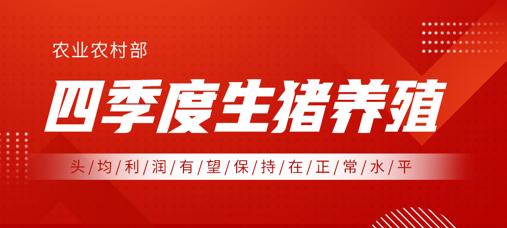 农业农村部：四季度猪价大幅波动的可能性较小，生猪养殖头均利润有望保持在正常水平