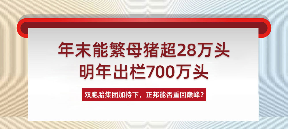 年末能繁母猪超28万头，明年出栏700万头！双胞胎集团加持下，正邦能否重回巅峰？