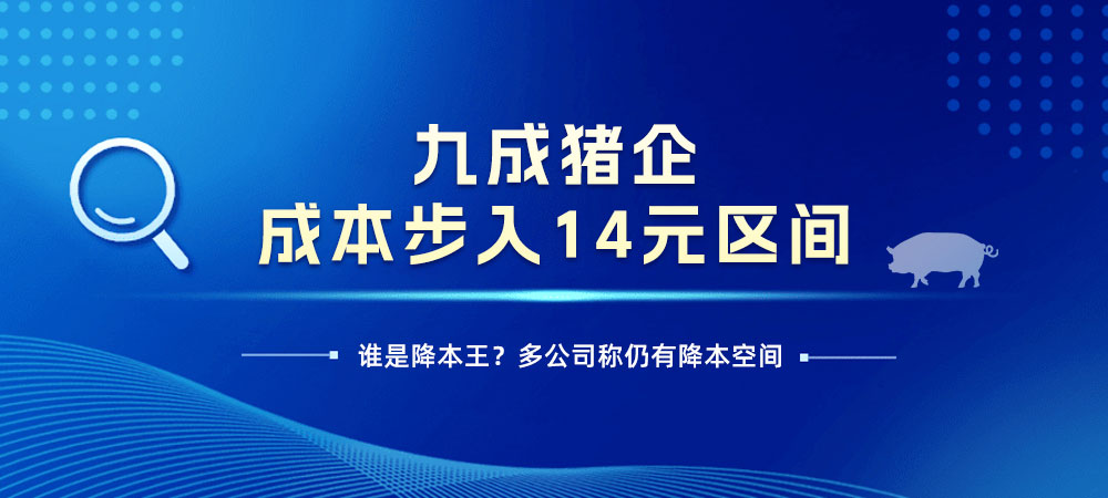 九成猪企成本步入14元区间，谁是降本王？多公司称仍有降本空间