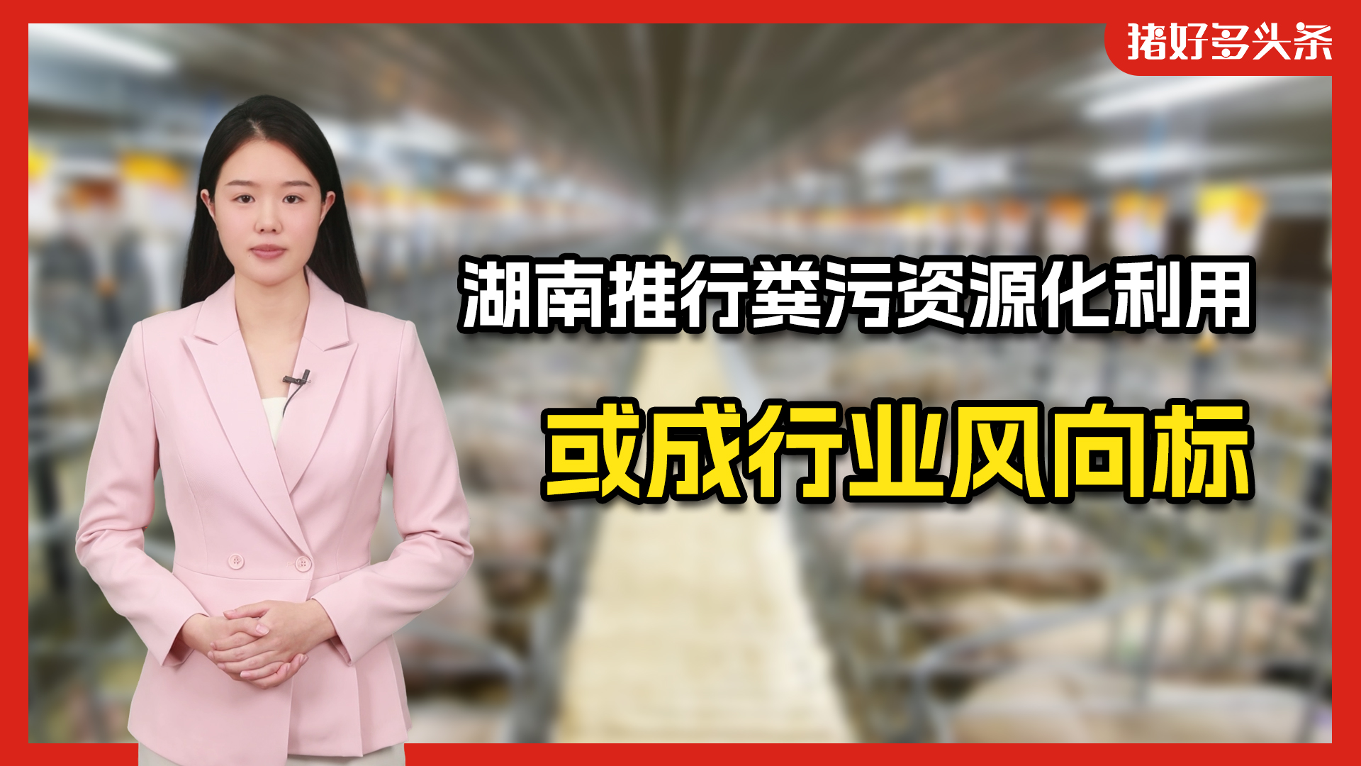 湖南每年产粪污5500万吨，全面推行资源化利用！环保新规将至？