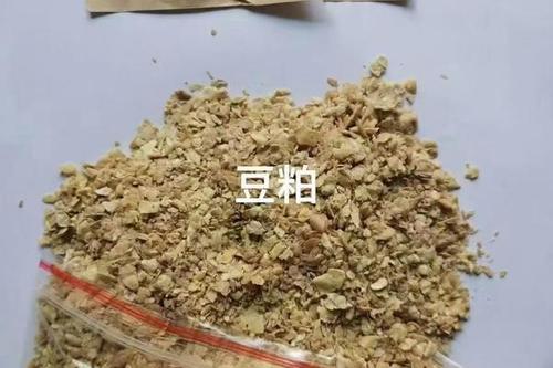 发酵豆粕新探索：揭秘仔猪大肠发酵参数的奇妙变化