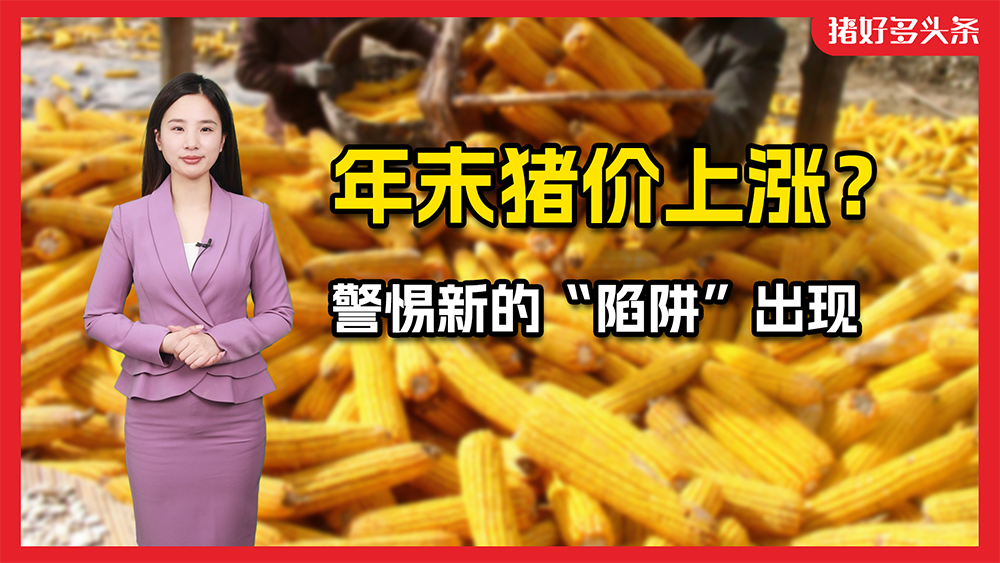 农业农村部最新监测：猪价、仔猪跌不停！豆粕和饲料却开始涨价？