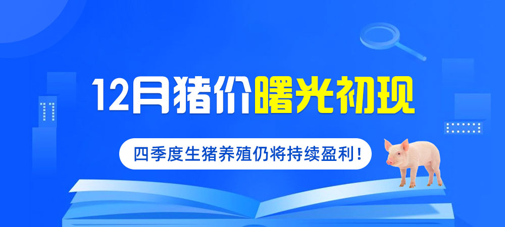 12月猪价曙光初现，四季度生猪养殖仍将持续盈利！