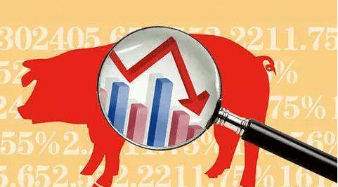 统计局：11月中旬生猪（外三元）为16.3元/公斤，环比下降4.1%