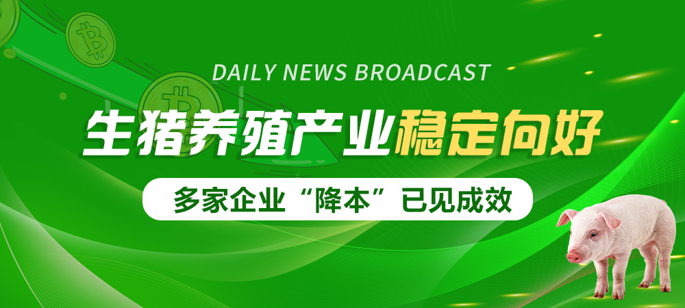 生猪养殖稳健前行，企业降本成效显著