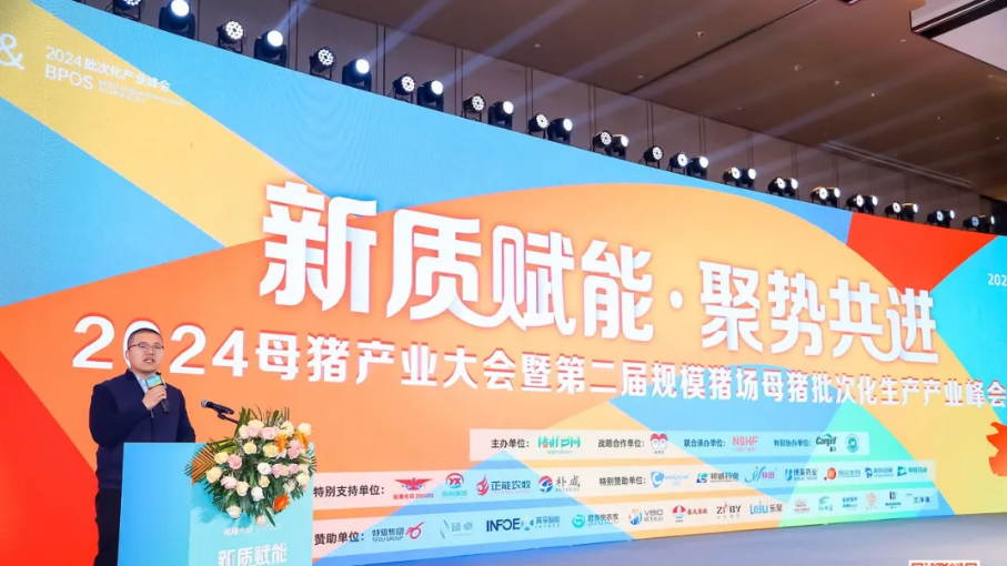 2024母猪产业大会暨第二届规模猪场母猪批次化生产产业峰会盛大召开！精旺＂高性能＂种猪精液助力批次化生产火力全开！