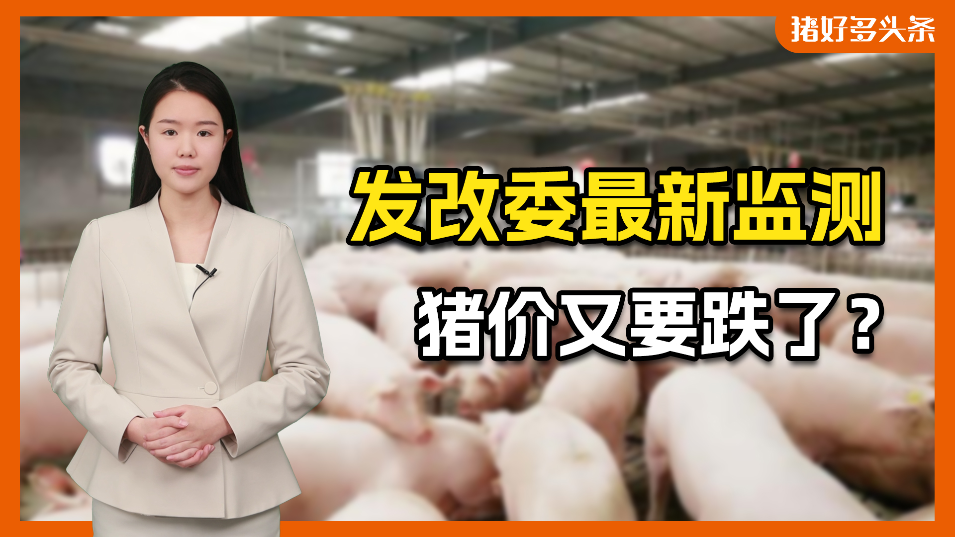 国家发改委最新预警！新一周猪价将再度下跌？养殖端增量出栏！
