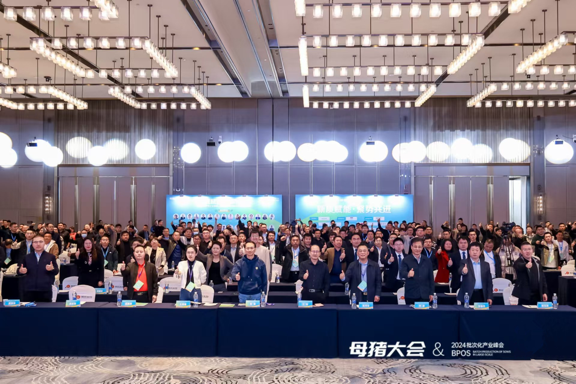 母猪产业大会