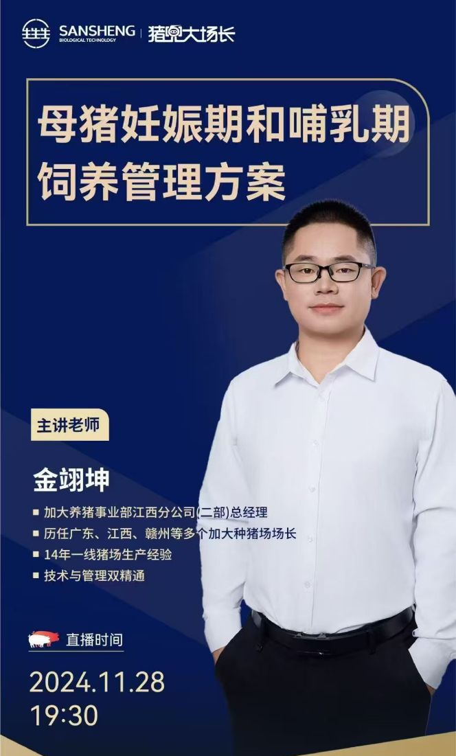金翊坤