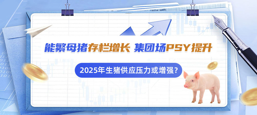 能繁母猪存栏增长，集团场PSY提升！2025年生猪供应压力或增强？