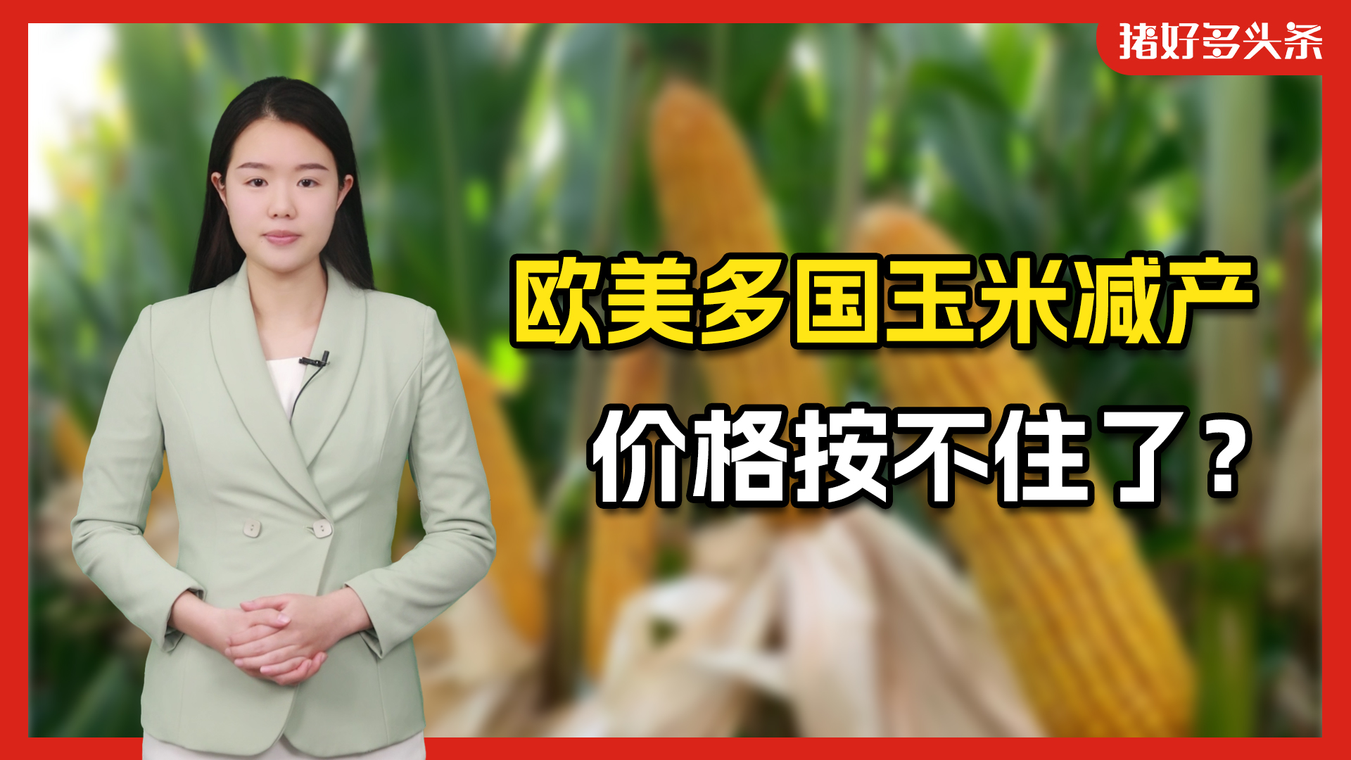 全球玉米库存用量比降到12年来最低！2025年，玉米价格要爆？