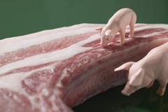 2024生猪年度总结及2025年展望！2025年生猪自繁自养盈利及仔猪育肥盈利或震荡下降