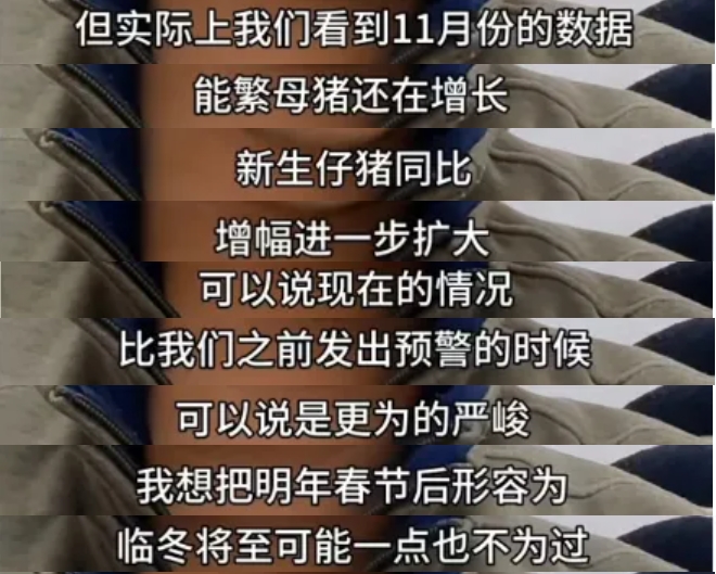 预警！明年前三季度猪价都将亏损？建议高成本高负债猪企出售资产过冬