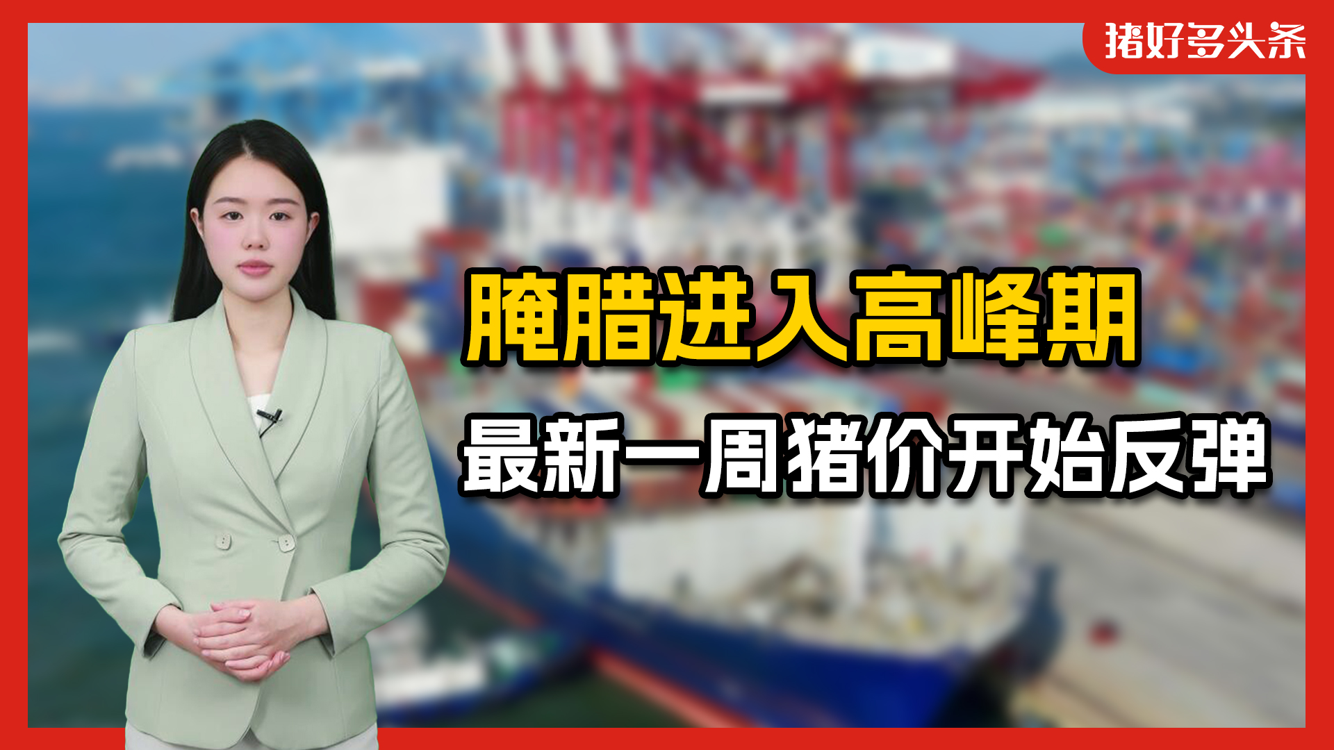 猪价开涨！国家发改委：腌腊进入高峰！未来外购育肥盈利134元/头