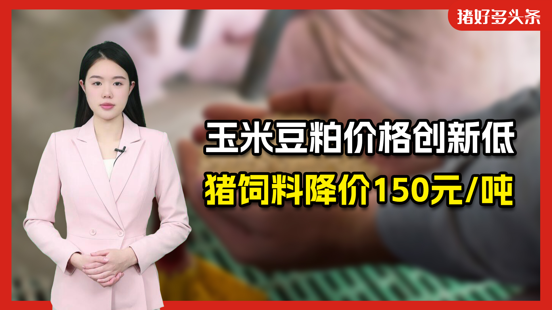 玉米豆粕价格大降，创四年来新低！海大、新希望、双胞胎饲料齐降