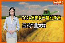 14000亿斤！国家统计局最新公布！明年猪饲料成本有保障？