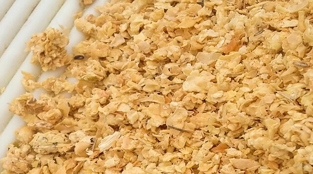 新型蛋白源饲料，如何引领畜牧业新风尚？
