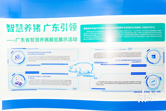 智慧养猪展示厅系统