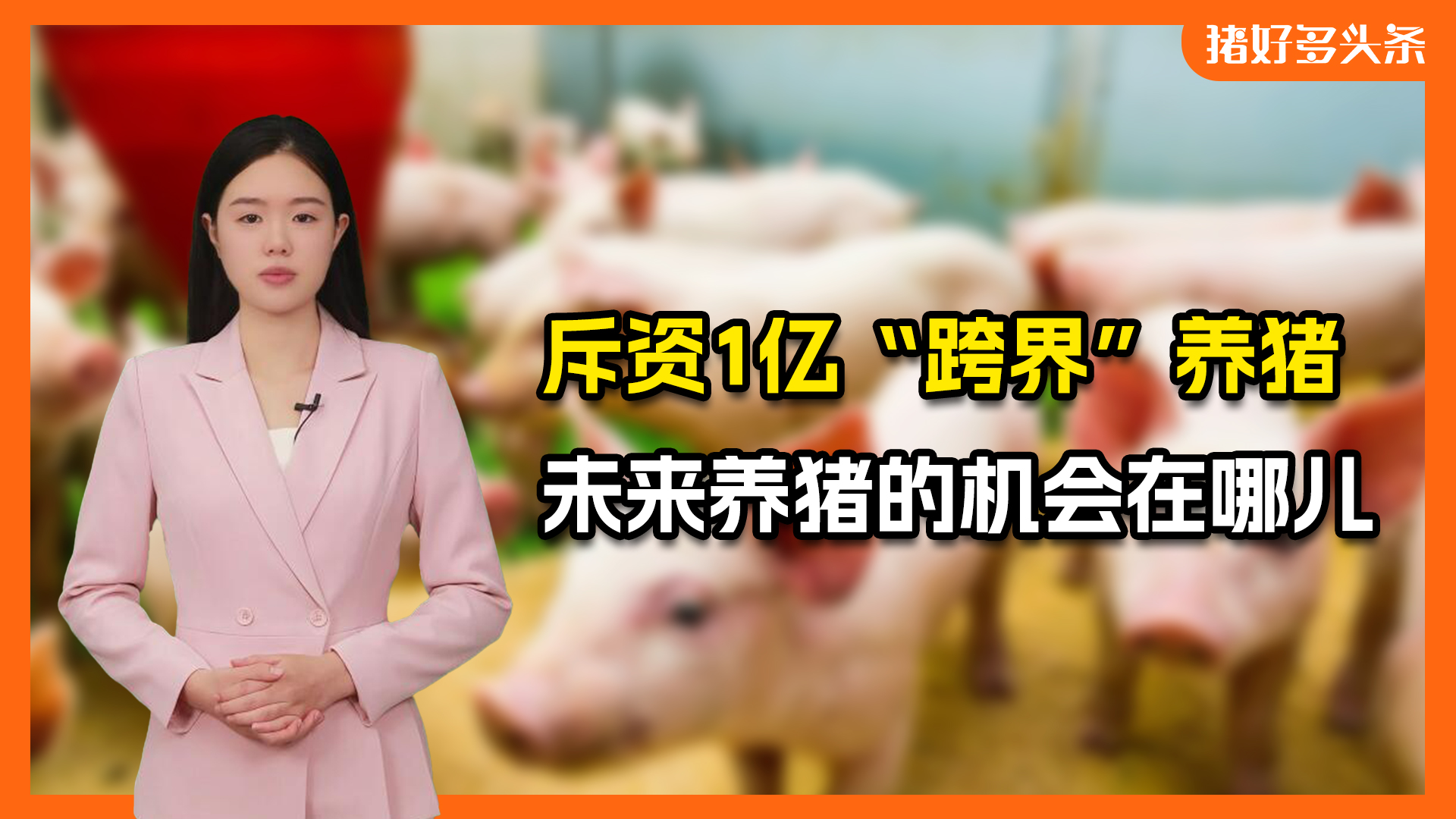 斥资1亿“跨界”养猪！未来养猪的机会在哪儿？