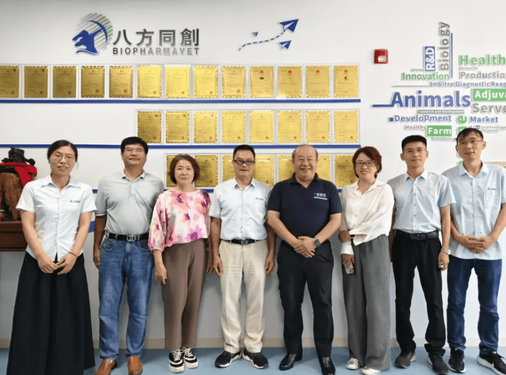 10分钟出精准结果！这款“非洲猪瘟快筛试剂”耗时6年，首获国际认证