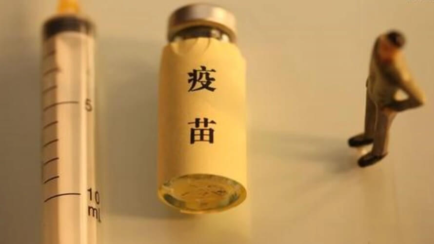 猪免疫失败与母源抗体有何影响？