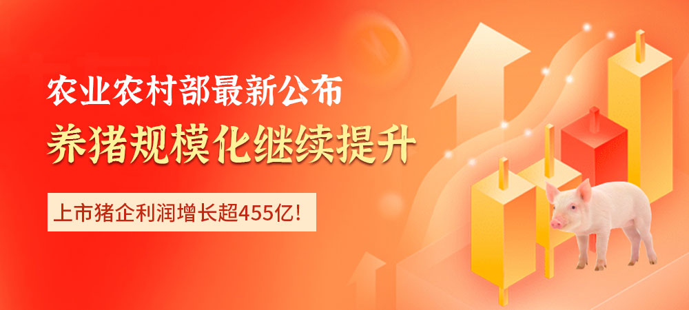 农业农村部最新公布！养猪规模化继续提升，上市猪企利润增长超455亿！