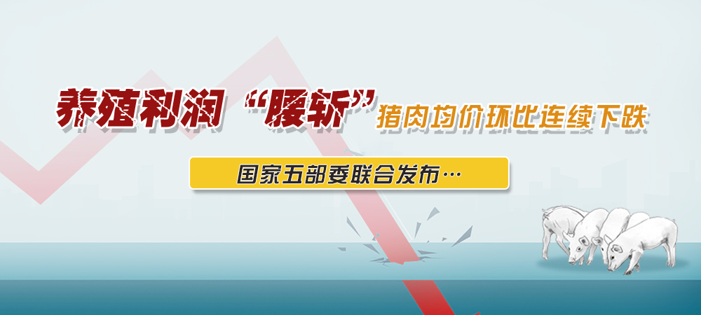 养殖利润“腰斩”！猪肉均价环比连续下跌，国家五部委联合发布……