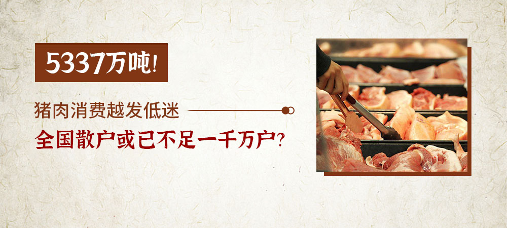 5337万吨！猪肉消费越发低迷，全国散户或已不足一千万户？