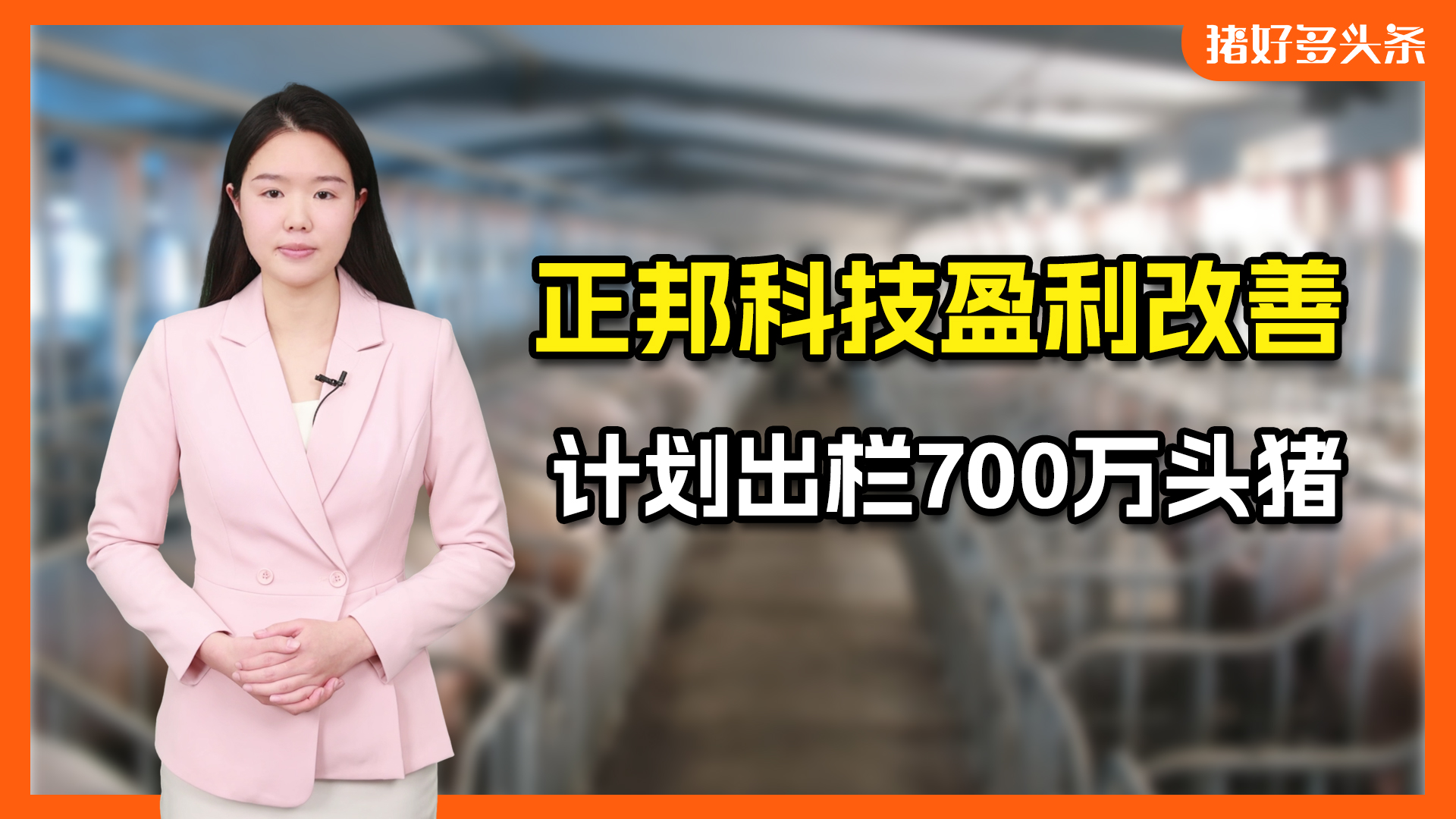 捷报！正邦科技2024年卖猪营收53亿，养殖成本大降5元/公斤！