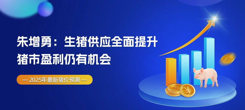 2025年最新猪价预测！朱增勇：生猪供应全面提升，猪市盈利仍有机会！