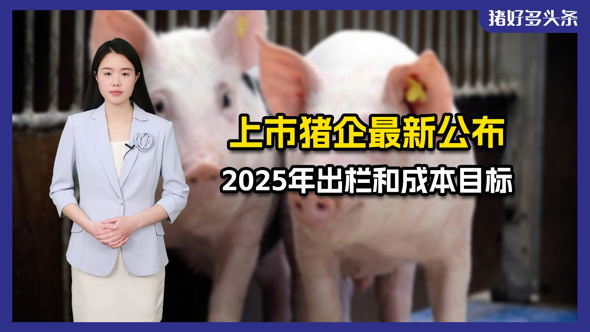 温氏、新希望、神农等多家猪企2025年确定增产，预计成本继续降低！