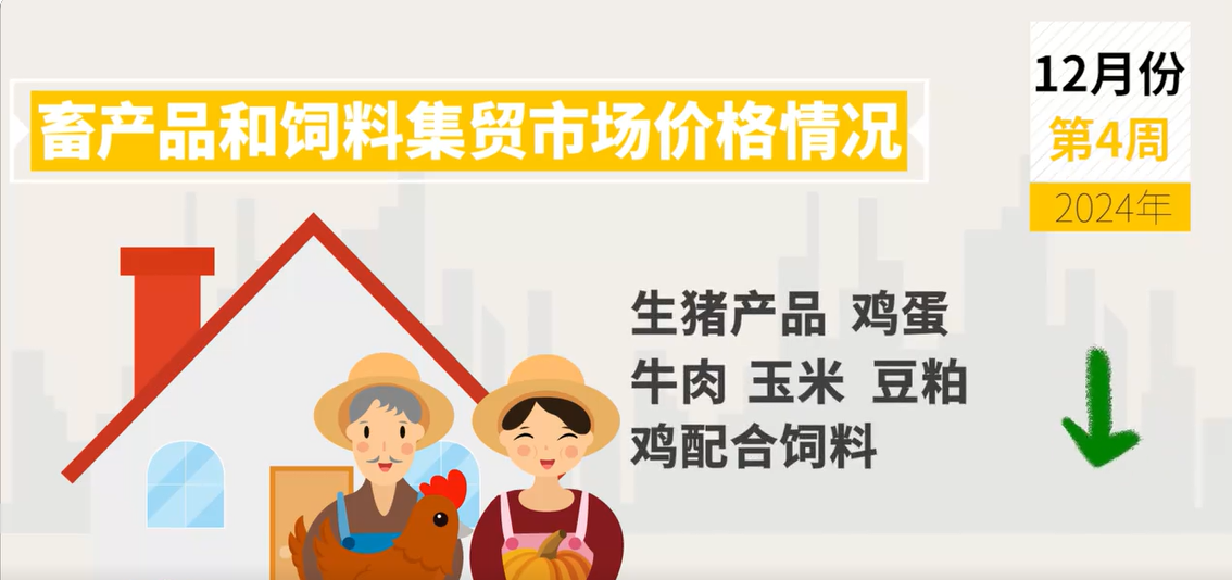 12月第4周生猪产品、鸡蛋、牛肉、玉米、豆粕价格下跌