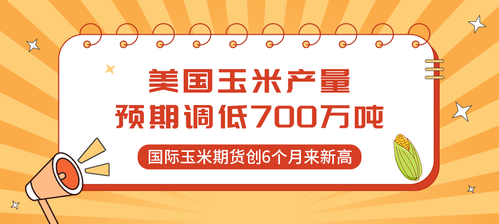 警惕！美国玉米产量预期调低700万吨！国际玉米期货创6个月来新高
