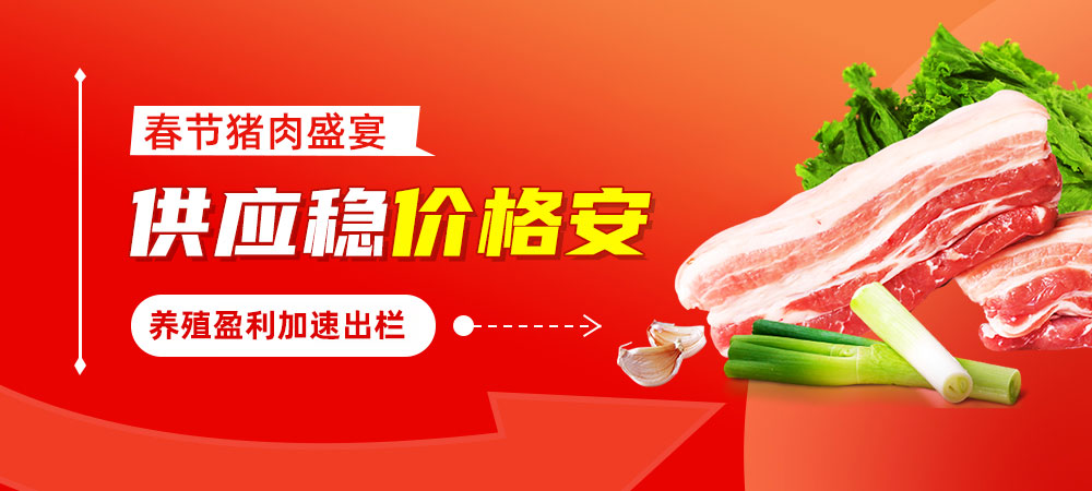 春节猪肉盛宴：供应稳价格安，养殖盈利加速出栏