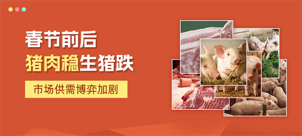 春节前后：猪肉稳生猪跌，市场供需博弈加剧