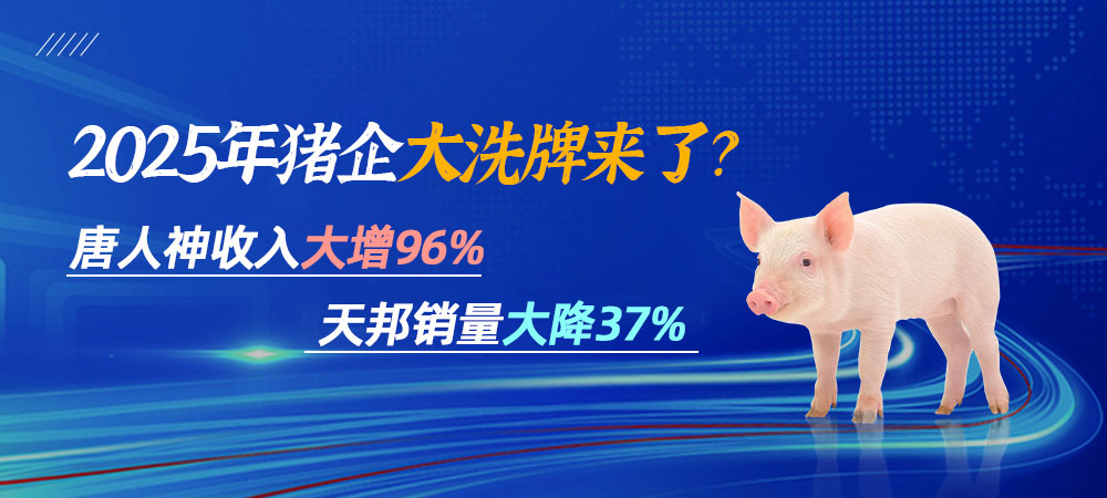 激战！唐人神收入大增96%，天邦销量大降37%！2025年猪企大洗牌来了？