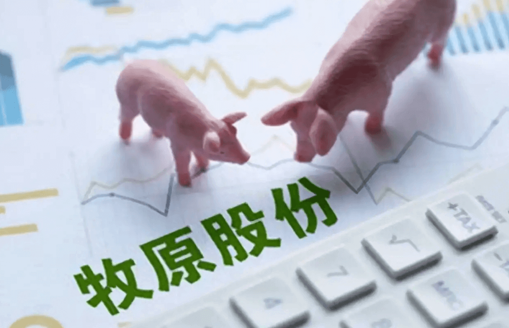 牧原股份：根据客户需求与生产经营安排不断创新仔猪销售方案