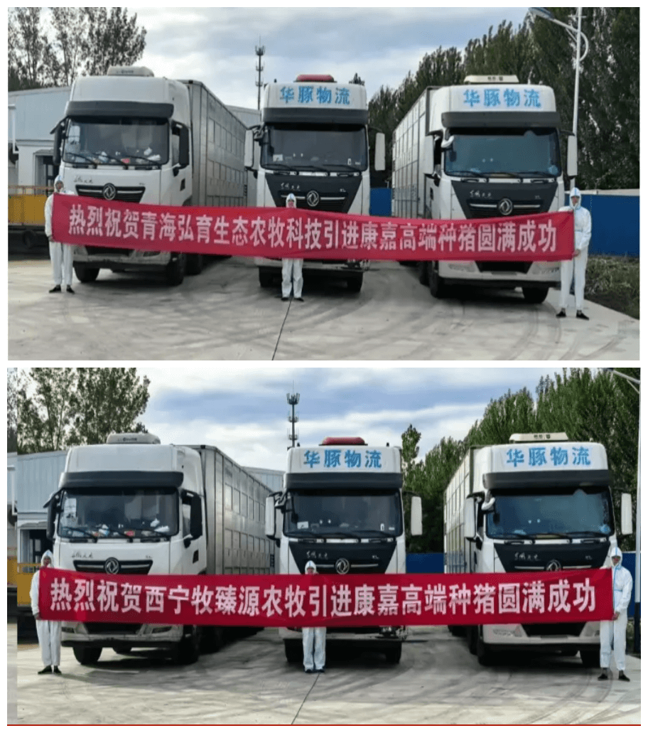 远销各地
